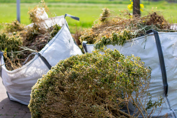 Best Local Junk Hauling  in Narberth, PA